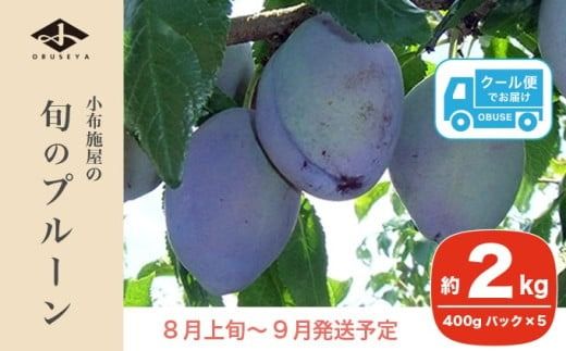 長野県産 旬のプルーン 約2kg ［小布施屋］ 生プルーン 果物 フルーツ 令和7年産 【2025年8月上旬～9月発送】 ［A-219］