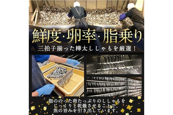 【定期便・全4回】3ヵ月に1回お届け！子持ち樺太ししゃも丸干し (総量4kg・1kg×4回) 干物 ししゃも シシャモ 丸干し 魚 海鮮 冷凍 大分県 佐伯市【AP86】【(株)ヤマジン】