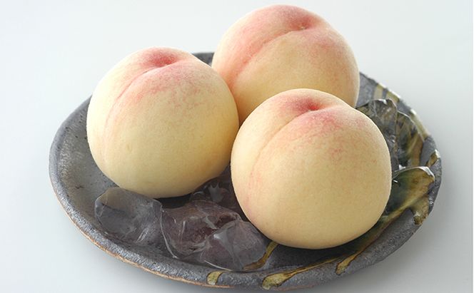 フルーツ 2026年 岡山のフルーツ 食べ切り 定期便 白桃 3玉 合計約800g／シャイン マスカット 1房 約500g もも 葡萄 ブドウ 岡山県産 フルーツ シャインマスカット 桃 果物 旬 定期便