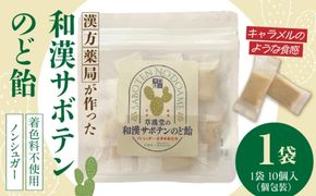 和漢サボテンのど飴　1袋 ［103S12］ 和漢 サボテン のど飴 草漢堂 オリジナル サボテンパウダー入り ノンシュガー 着色料不使用 個包装 島川あめ店 コラボ 飴 キャンディー おかし お取り寄せ 愛知県 小牧市 送料無料