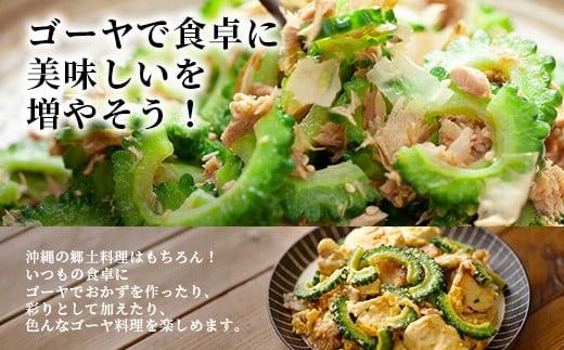 南国石垣島では冬が旬！朝採れ「ゴーヤ」たっぷり20本セット！減農薬！最優秀賞受賞の農家から！12月～3月順次発送【 沖縄県石垣市 石垣島産 フレッシュ ゴーヤ 減農薬 特別栽培 野菜 採れたて 離島のいいもの 沖縄いいもの石垣島 】OI-11