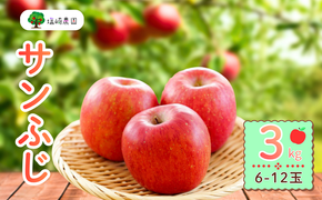 【先行予約】サンふじ 約3kg (6〜12玉）（2025年12月上旬から発送）りんご サンふじ 限定 直送 好評 (7-A41-1)