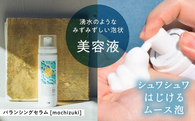 RICHSOL スキンケアシリーズ 洗顔 化粧水 美容液 クリーム  愛西市 / 株式会社メイゾル 【配達不可：離島】[AEAT004]