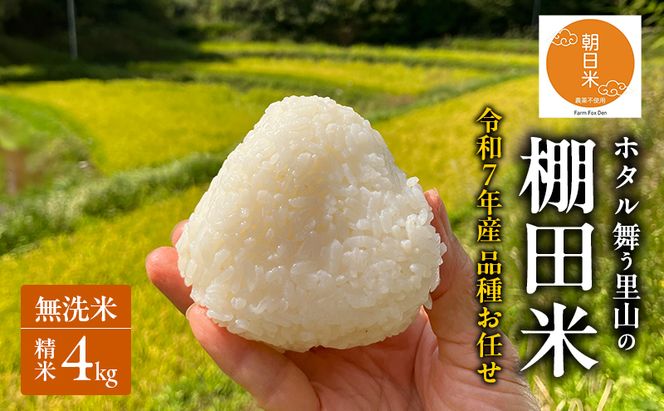 品種お任せ 令和7年産 ホタル舞う里山の棚田米 無洗米 精米4kg ひとめぼれ2kg又は朝日2kgを計2袋