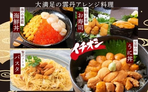 3553.うに 海鮮 ウニ チリ産 冷凍 200g 4人前 雲丹 丼 海鮮 丼 セット 熨斗 のし 名入れ不可 送料無料 北海道 弟子屈町