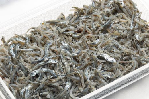 【冷蔵】訳あり 上乾ちりめん 約1kg - 国産 ちりめん しらす シラス 稚魚 魚介 魚 海産物 天日干し 釜茹で ドロメ サラダ 和え物 アレンジ 料理 ご飯のお供 高知県 香南市 冷蔵 mu-0014