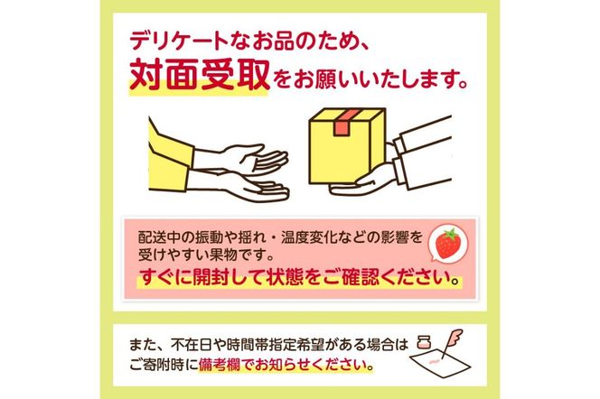 ns084-002 【数量限定】JAなすの産いちご 産地直送 とちあいか 1箱（290g×2パック）【栃木県共通返礼品】