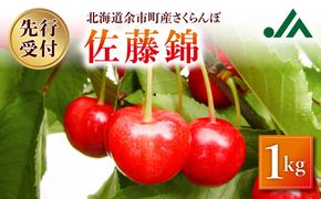 【先行受付：2026年7月初旬以降発送分】さくらんぼ（佐藤錦） 1kg 北海道 余市 余市町農業協同組合 フルーツ デザート 果物 季節限定 グルメ とれたて 甘み 鮮やかな紅色 冷蔵 お取り寄せ_Y010-0656