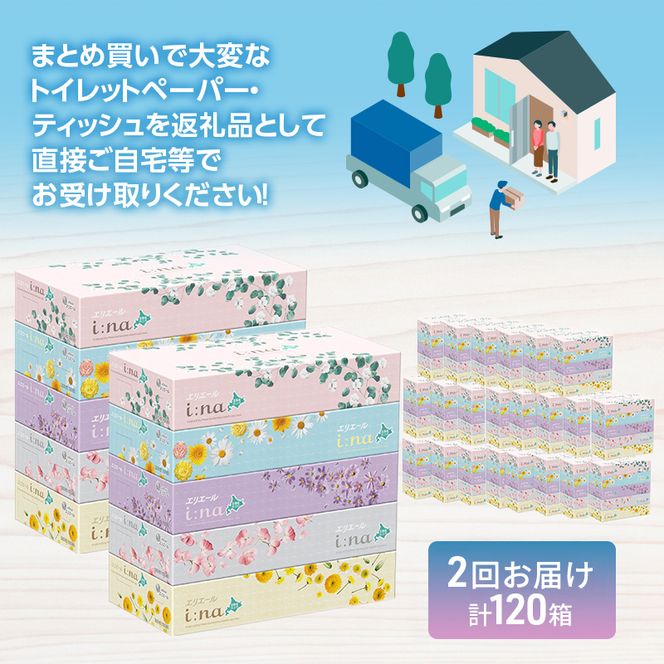 【2回お届け 計120箱】エリエール i:na (イーナ) 北海道 ティシュー 150組5箱 12パック ティッシュペーパー 箱ティッシュ まとめ買い 防災 常備品 備蓄品 消耗品 日用品 生活必需品 送料無料 赤平市 福祉用品 雑貨 