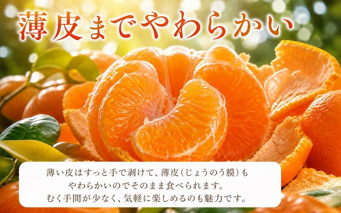とろける食感！ジューシー柑橘　せとか　約3kg【予約】※2027年2月下旬頃〜2027年3月中旬頃発送(お届け日指定不可)【uot506A】