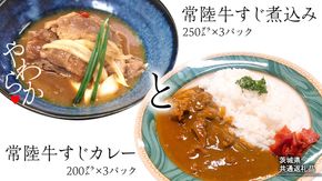 【茨城県共通返礼品】 やわらか 常陸牛 すじ煮込み と すじカレー セット 各3パック 牛すじ 牛すじ煮込み 煮込み カレー 牛肉 和牛 ふるさと納税 10000円 おかず 惣菜 [AU111ya]