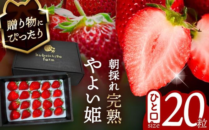 ymszys\z _N12菇^ 悢P 20 ʕ  t[c s / 䕔_ yzBsFkCEEz[AECJ013]