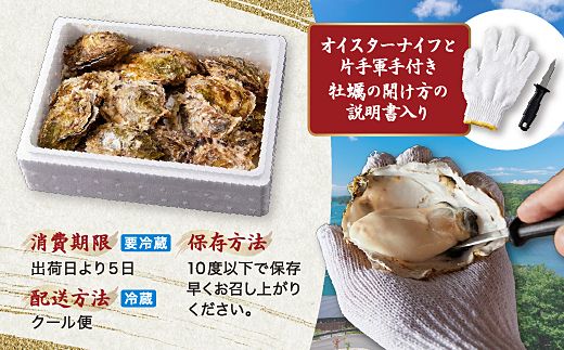 【先行予約／2026年12月より順次発送】I-55生食用浦村牡蠣１５個入りセット
