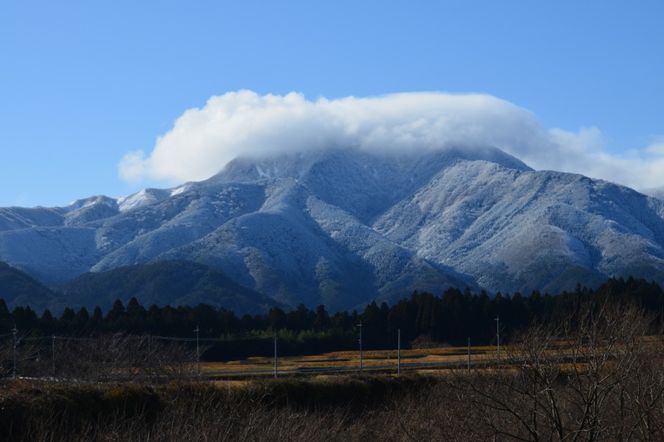 【6回定期便】令和6年産こしひかり（精米）　10kg×6回     離島不可（北海道、沖縄本島は配送可能） ※お申し込みから14日以内に発送