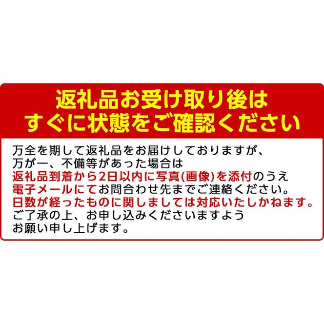 ＜先行予約受付中！2026年6月中旬以降順次発送予定＞白いとうもろこし「雪やこんコーン」(16本) 国産 トウモロコシ 玉蜀黍 ホワイト コーン 野菜 糖度 夏 イネ科 数量限定 期間限定【うとさんち】akn067-12