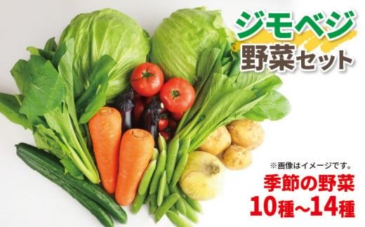 野菜 詰め合わせ 産地 直送 10~ 14種 減農薬 栽培 旬 採れたて やさい 家庭用 健康 食材 静岡県 藤枝市 