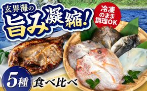 活き活き鮮魚開きセット（真鯛・連子鯛・アジ・いさき・やりいか 計 5枚）糸島市 / 有限会社 糸島海産 / 開き / セット[AMR001]