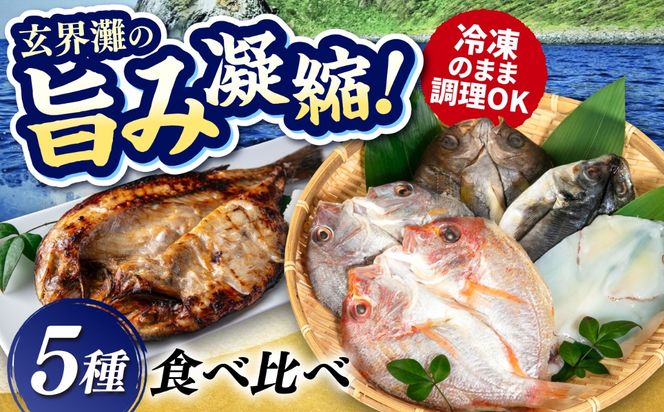 活き活き鮮魚開きセット（真鯛・連子鯛・アジ・いさき・やりいか 計 5枚）糸島市 / 有限会社 糸島海産 / 開き / セット[AMR001]