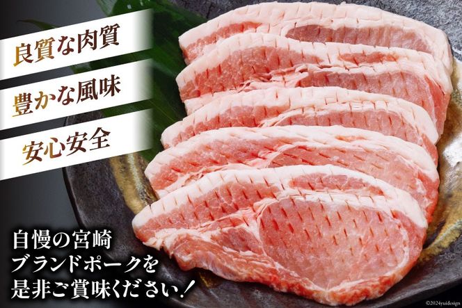 豚肉 小分け 宮崎ブランドポーク ロース トンテキ とんかつ カット 100g ×5枚 500g [ウィズ・クリエイティブ 宮崎県 日向市 452060770] 冷凍 豚 個包装 トンカツ 真空 宮崎