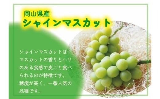 【2026年先行予約】 ここちとふぁーむ 【ご自宅用】 岡山県産 シャインマスカット＆旬のおまかせぶどう 2～3房 約1kg 【koko016-01】