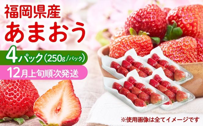 【2025年12月上旬より順次発送】 福岡産【冬】 あまおう 4パック 《築上町》【南国フルーツ株式会社】果物 苺 いちご[ABET013]