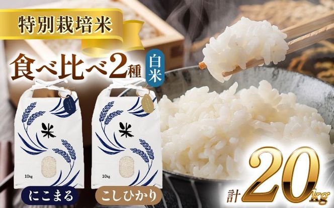 令和6年産　愛知県産　コシヒカリ・にこまる　白米　各10kg　特別栽培米　お米　ご飯　愛西市／戸典オペレーター　[AECT012]