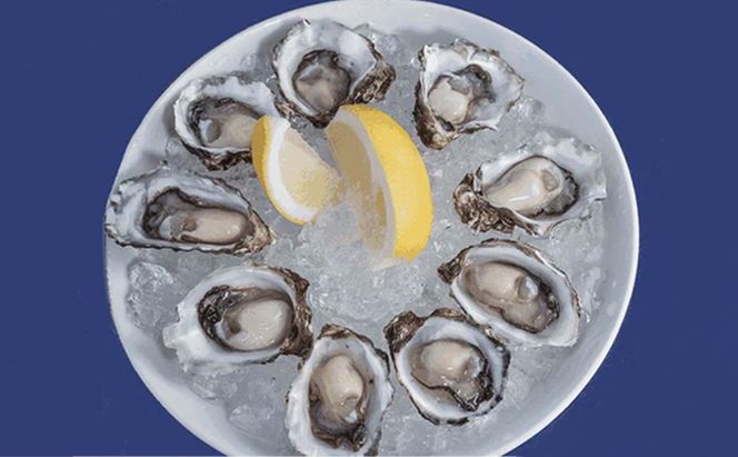 厚岸町産 干しカキえもん 生牡蠣 あさり セット 魚貝類 干物 純厚岸産牡蠣 旨味 海の幸 乾物 海の幸セット 詰め合わせ 