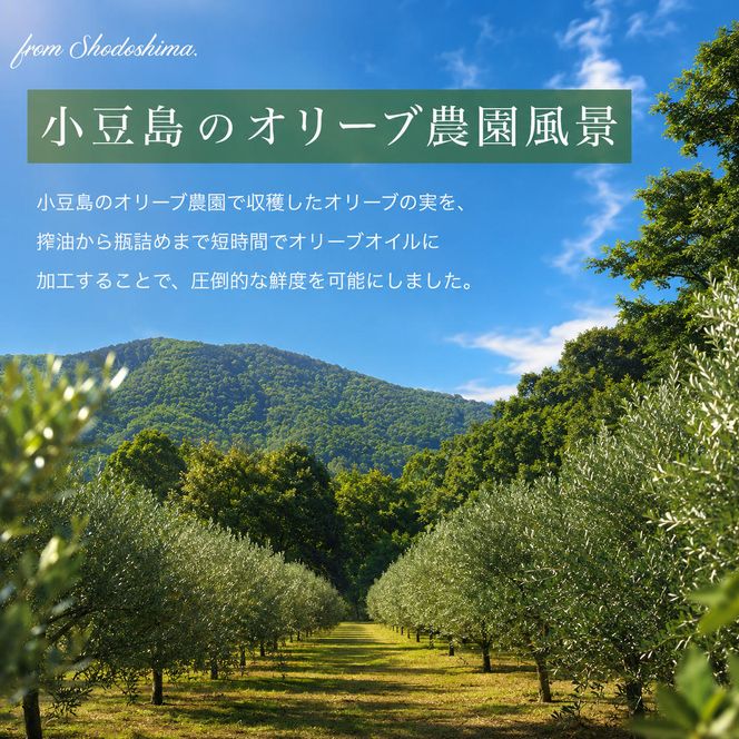 【 小豆島 】小豆島産100％「純」エキストラバージンオリーブオイル200ml(単品)8本 オリーブオイル エクストラバージン 小豆島 調味料 オイル 油