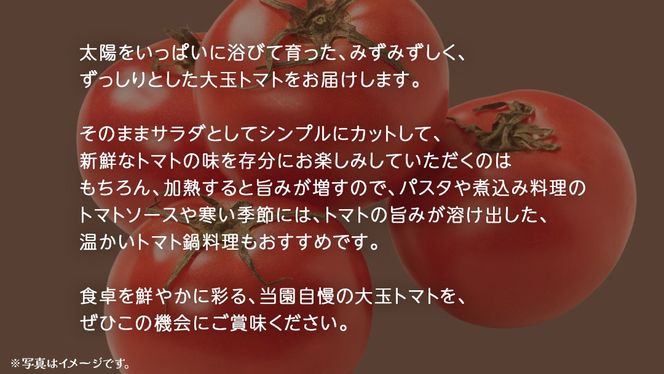大玉 トマト 3kg (茨城県共通返礼品：大子町) 野菜 フルーツ 旬 季節限定 期間限定