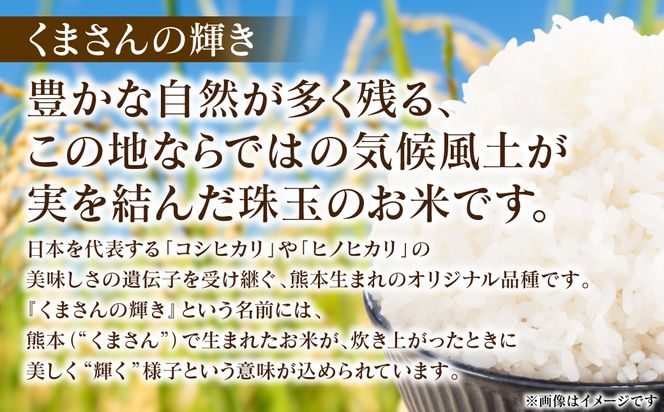 《令和7年産》 くまさんの輝き 5kg×1袋 米 お米 精米 白米 ごはん ご飯 おにぎり お弁当 熊本県 八代市