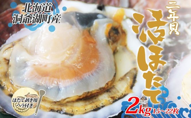 北海道産 活ほたて 2年貝 約2kg 15枚～22枚 2027年1月中旬以降水揚げ次第出荷 ほたて 帆立 ホタテ 生 貝 魚貝 魚介 海産 海鮮 貝柱 噴火湾 刺身 送料無料 北海道 洞爺湖町