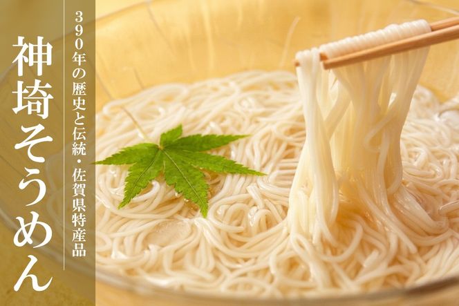 神埼めんセット 10入 【麺 そうめん ささっとうどん にゅうめん 即席ラーメン 特産品】(H014130)