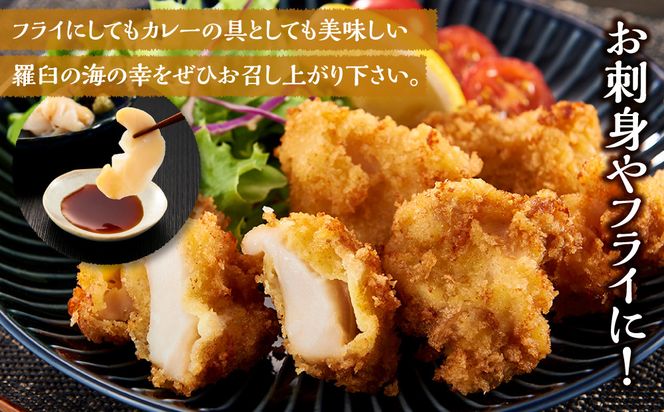 噛むほどに旨い　知床羅臼産つぶ（千金つぶ）250g×2 生産者 支援 応援 魚貝類 練り物 水産 食品 人気 羅臼町 生産者 支援 応援 つぶ 貝 千金 日本産 高品質 海鮮 お取り寄せ 北海道 新鮮 美味しい 天然 厳選 特産品 贈り物 贅沢 舟木商店 016942_AH192