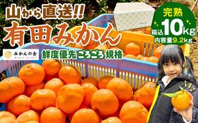 みかん 山から直送 箱込 10kg ( 内容量約 9.2kg ) 鮮度優先ごろごろ規格 和歌山県産 産地直送 家庭用［2025年11月中旬より2026年1月中旬頃順次出荷予定］［みかんの会］ 	AX217