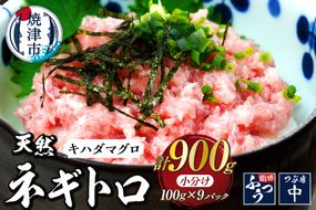 a10-1288　焼津 海の極 海伸 マグロ ネギトロ 小分け 900g 100g×9パック