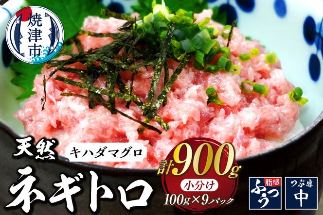 a10-1288　焼津 海の極 海伸 マグロ ネギトロ 小分け 900g 100g×9パック