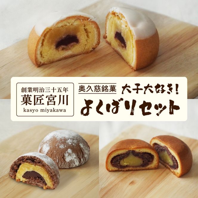 【菓匠宮川】奥久慈銘菓「大子大好き！よくばりセット」12個入り（月居ふわり・氷瀑・八溝石 ×各4個）｜茨城県 大子町 老舗 お菓子 詰め合わせ 個包装 焼菓子 和菓子 饅頭 和洋菓子 スイーツ 手土産 お土産 お取り寄せ ギフト プレゼント 贈答（BF036）