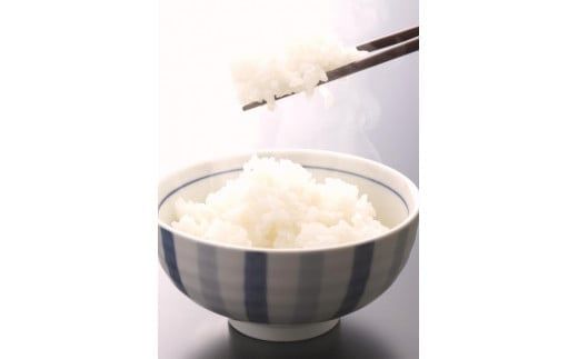 米 にじのきらめき 和歌山県産 10kg（5kg×2）（2025年産） 産地直送 米 こめ ご飯 ごはん ※2025年9月25日以降順次発送予定 （お届け日指定不可）【sml913D】