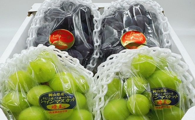 ぶどう 2026年 先行予約 詰合/ニューピオーネ2房(1房480g以上)・シャインマスカット晴王2房(1房480g以上)　化粧箱入り ブドウ 葡萄 岡山県産 国産 フルーツ 果物 ギフト