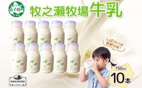 3454. 牧之瀬牧場 牛乳 150ml × 10本 牛乳 牛 乳 みるくミルク ノンホモジナイズド牛乳 脂肪 放牧 濃厚 搾りたて 甘い クリーミー さっぱり 牛耳ボトル 可愛い ギフト 冷蔵 牧之瀬牧場 北海道 弟子屈町