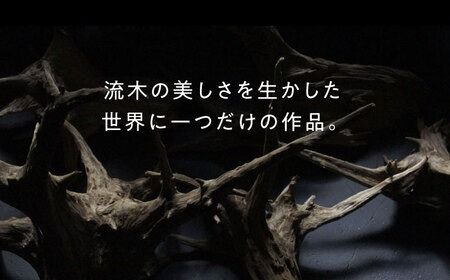 W Bulb Roots pendantlight ペンダントライト 糸島市 / WOOD'ARBRE(ウッドラヴル)【TIME】 インテリア 照明[ADC004] インテリア 照明 ライト ペンダントライト 間接照明 天井照明 流木 ウッド