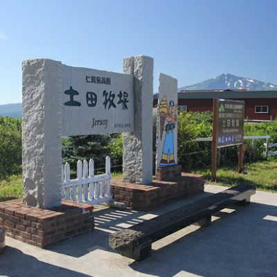 土田牧場 砂糖不使用 のむヨーグルト 900ml×5本 「生菌ヨーグルト」（飲む ヨーグルト 健康 栄養 豊富） 乳飲料 ドリンク ジャージー生菌ヨーグルト 飲むヨーグルト 乳製品 