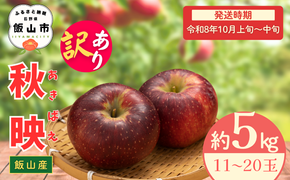 【先行予約丨2026年10月上旬より順次発送】訳あり 秋映【約5kg (11〜20玉)】(At-018)丨長野県 飯山市 おすすめ ランキング おいしい 高評価 大人気 先取り 産地直送 りんご 訳あり 規格外 