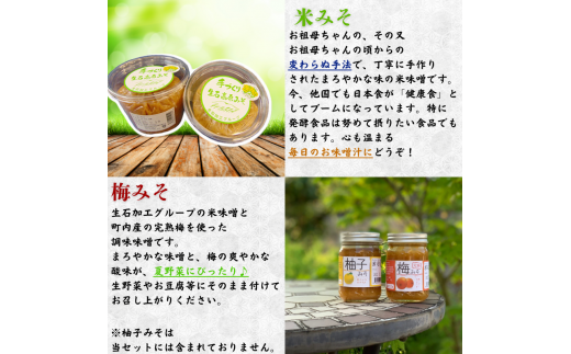 【手作り・無添加】「ふるさとの愛情詰め合わせ 食卓セット1」～ みそ・ジャム・焼肉のタレ ～  /調味料 味噌汁 パン BBQ スイーツ 料理 米味噌 梅味噌 ブルーベリー イタドリ ゴンパチ 和歌山【ois629-set-1】