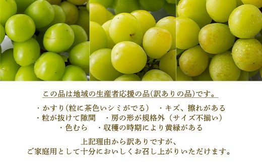 FYN6-635 ご家庭用 山形県産 大粒ぶどう シャインマスカット 2kg以上(4~7房) 種無し 葡萄 ぶどう ブドウ マスカット 果物 くだもの フルーツ 規格外 訳あり ワケアリ 自宅 家庭 山形県 西川町 月山