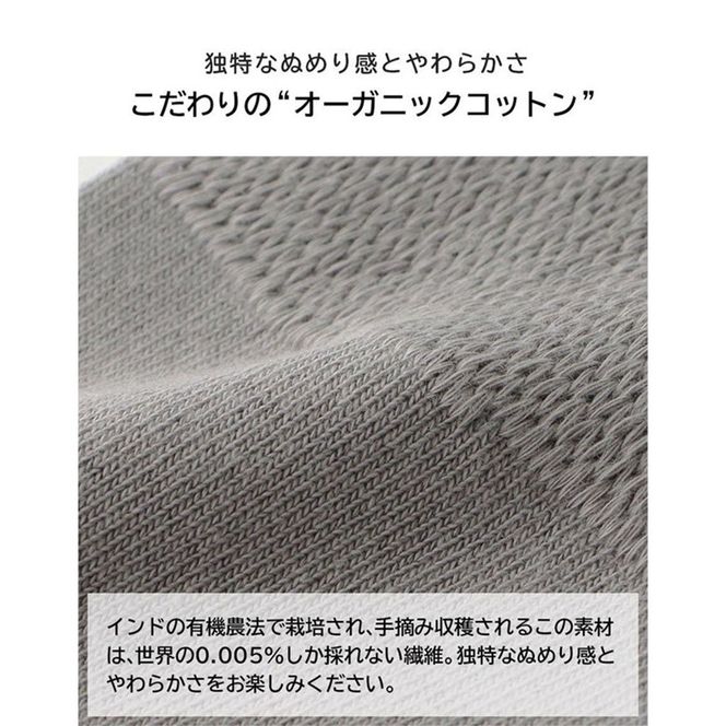 みんなのくつした 1足(22-24cm)【コン】《 くつした 靴下 ソックス 加古川市 送料無料 》【2500T16802_02】