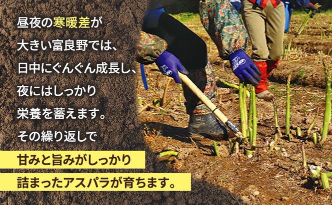 【2026年春発送】富良野産 アスパラ 約1kg 細め (サイズ混合) 中山農園 アスパラガス 野菜