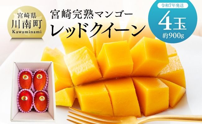 [令和7年発送] 宮崎県産 完熟マンゴー 「レッドクイーン」 4玉(900g) [果物 フルーツ マンゴー 宮崎県産完熟マンゴー みやざき マンゴー 先行予約 数量限定 期間限定 ] [C03201]