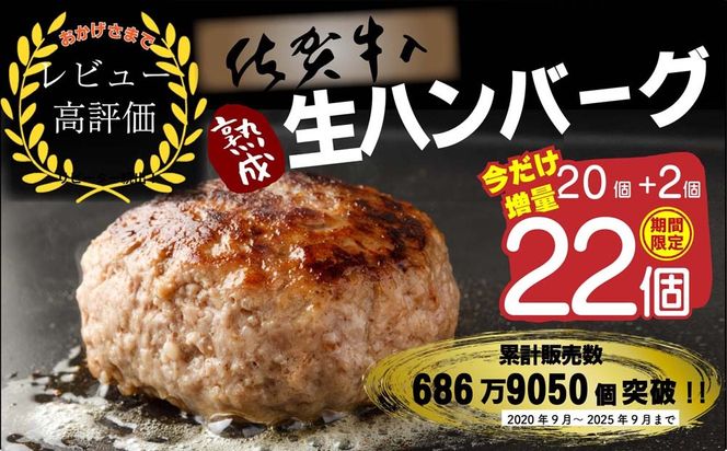 yꌧ_szyԌIzꋍ no[O 20+2 e 2.6kg(120g×22)yꋍ јa uh B no[O  ؓ Y ٓ  y  lCz(H083105)