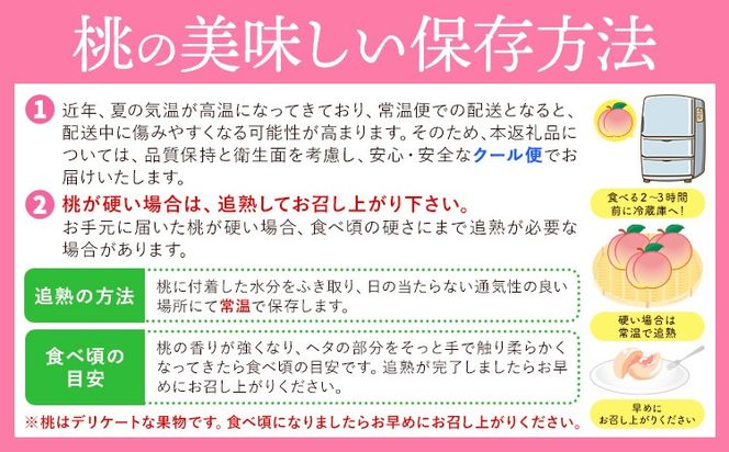 和歌山県産の桃 選べる内容量 約900g (3玉入り) 約1.8kg (5～8玉入り) 約3.8kg (10～18玉入り) GREEN JUNCTION株式会社《2025年6月中旬-2025年8月末頃出荷》和歌山県 紀の川市 桃 果物 果実 フルーツ 自然栽培 送料無料---wsk_cgjt3_6c8m_24_8000_3t---